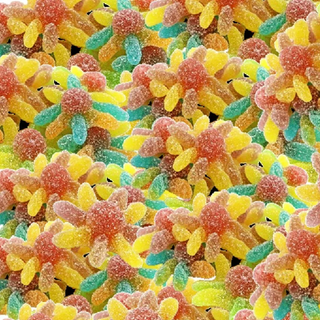 Sour Octopus