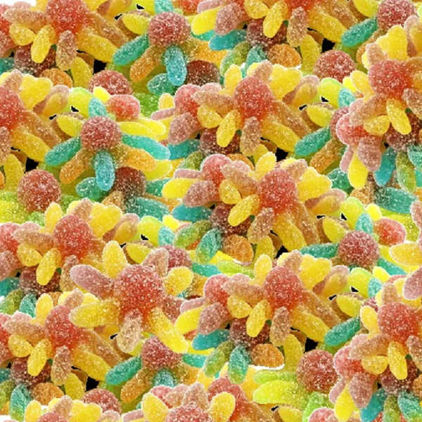 Sour Octopus