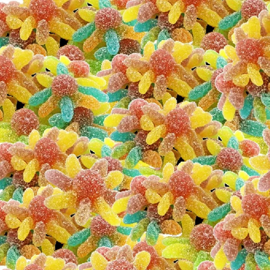 Sour Octopus